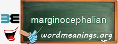 WordMeaning blackboard for marginocephalian